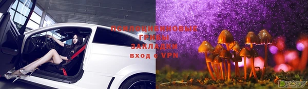 альфа пвп Горнозаводск