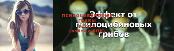 альфа пвп Горнозаводск