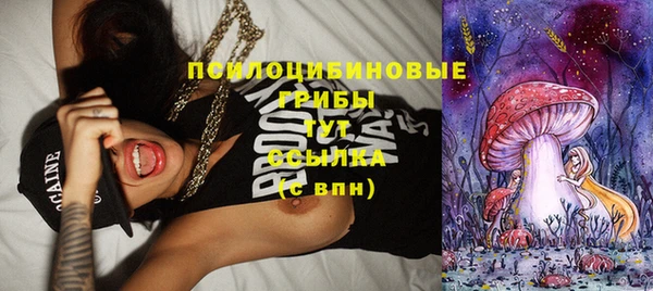 альфа пвп Горнозаводск