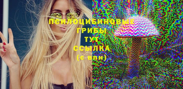 альфа пвп Горнозаводск