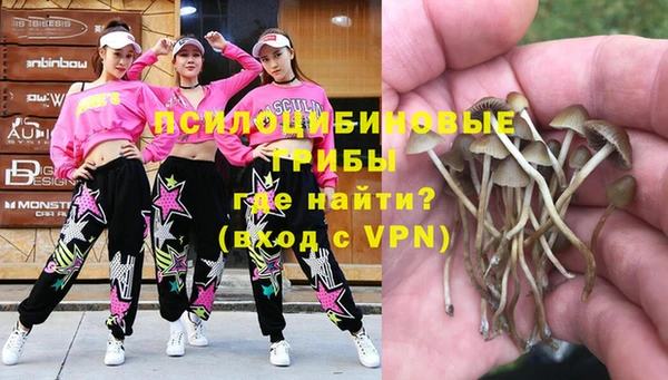 альфа пвп Горнозаводск